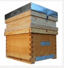 Galería de imágenes