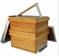 Colmenas Industrias Dom&iacute;nguez 11