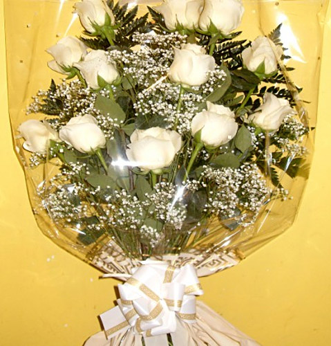 Funeraria Santa Teresa Nava De La Asunci&oacute;n 10