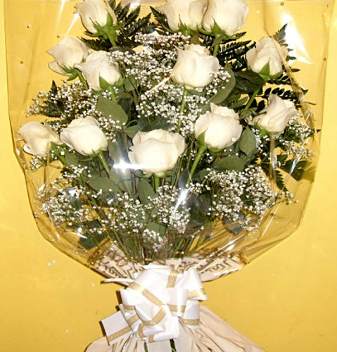 Funeraria Santa Teresa Nava De La Asunci&oacute;n Nava de la Asunción