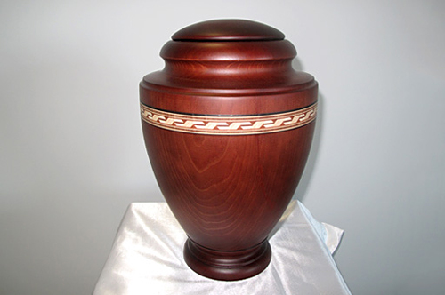 Funeraria Santa Teresa Nava De La Asunci&oacute;n 8