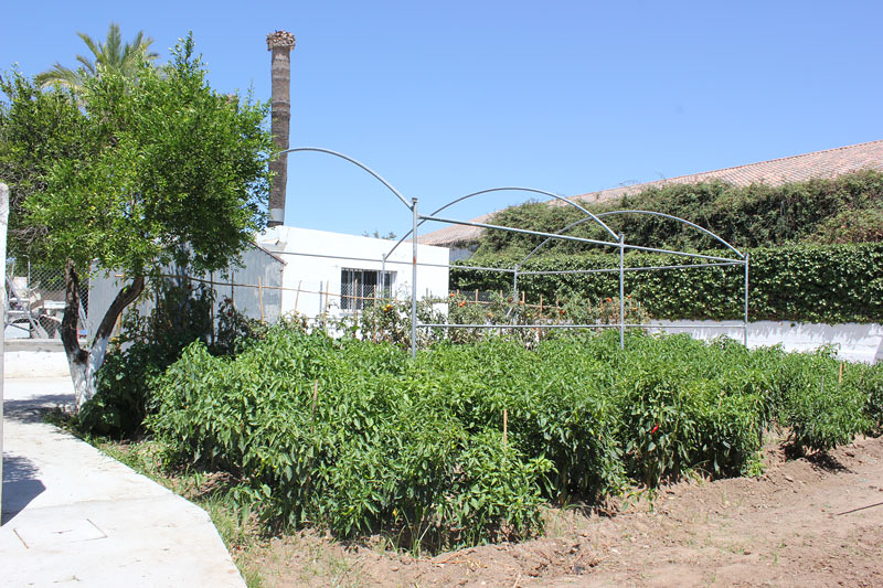 Asociaci&oacute;n Brote De Vida CENTROS PRIVADOS DE TRATAMIENTO DE LA DROGODEPENDENCIA