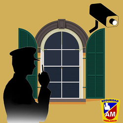 Am Seguridad Empresa De Seguridad Privada Y Vigilancia Sevilla Am Seguridad Empresa De Seguridad Privada Y Vigilancia Sevilla