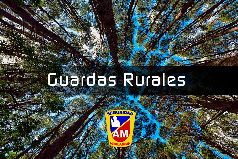 Am Seguridad Empresa De Seguridad Privada Y Vigilancia 3