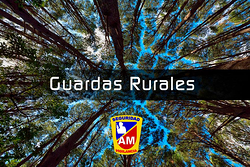 Am Seguridad Empresa De Seguridad Privada Y Vigilancia 3 Am Seguridad Empresa De Seguridad Privada Y Vigilancia 3