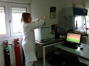 Galería de imágenes