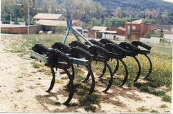 Galería de imágenes