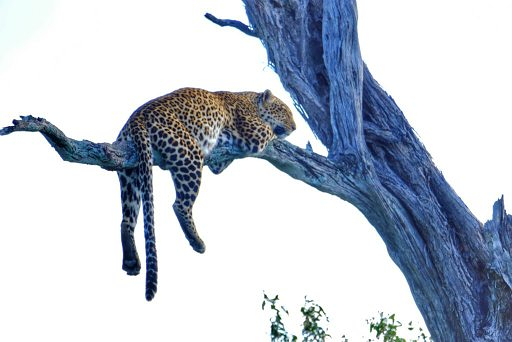 Viajes Teruel Tours / Viaja de la mano de Raquel 6