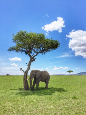 Viajes Teruel Tours / Viaja de la mano de Raquel 5