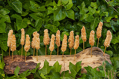 Complejo Par&iacute;s 15