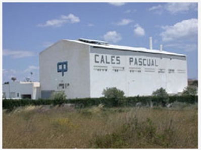 Cales Pascual Paterna