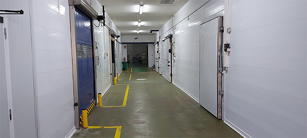 Martínez Moreno Henos, S.L. ALIMENTOS CONGELADOS: FABRICANTES Y MAYORISTAS