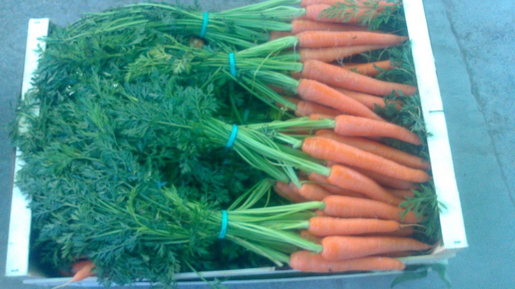 FRUTAS Y VERDURAS HERMANOS MONRÓS 3 FRUTAS Y VERDURAS HERMANOS MONRÓS 3