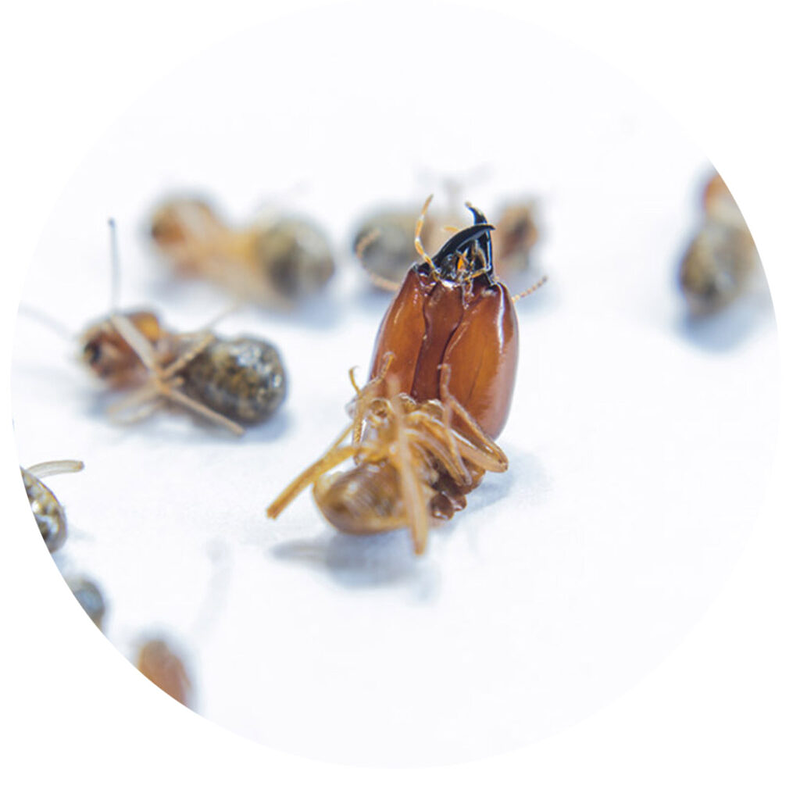 Agroservicios Zalsa 14