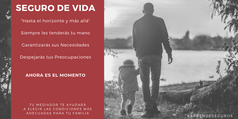 JJGONZALEZ- Corredor de Seguros 2