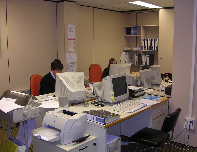 Sector Administracion Y Consultoria 3