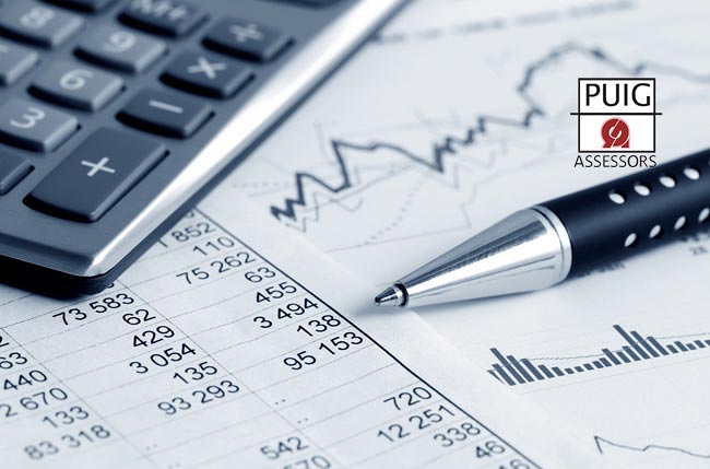 Puig Assessors S.L. ASESORIAS DE EMPRESAS