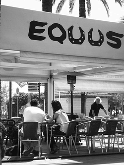 Bar Equus II Vilanova i la Geltrú Bar Equus II Vilanova i la Geltrú