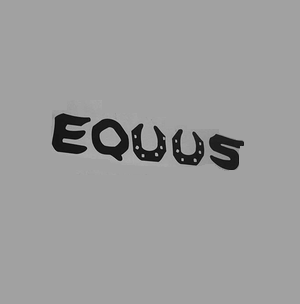 Bar Equus II