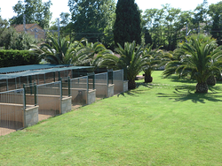 Residència Canina de Brian 3 Residència Canina de Brian 3