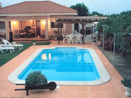 Poli&eacute;ster Porcuna 6