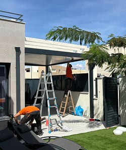 Galería de imágenes