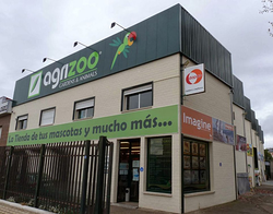 Galería de imágenes