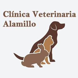 Clínica Veterinaria Alamillo