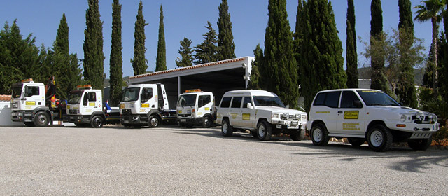 Grupo De Empresas Guillermo 3