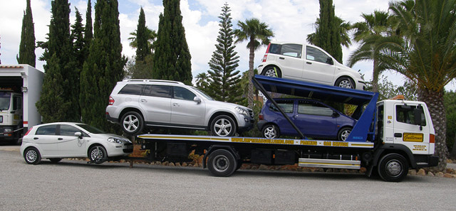 Grupo De Empresas Guillermo 9