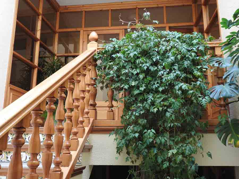 Hotel Residencia Palacio 5