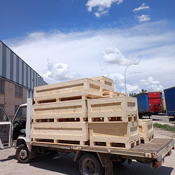 Galería de imágenes