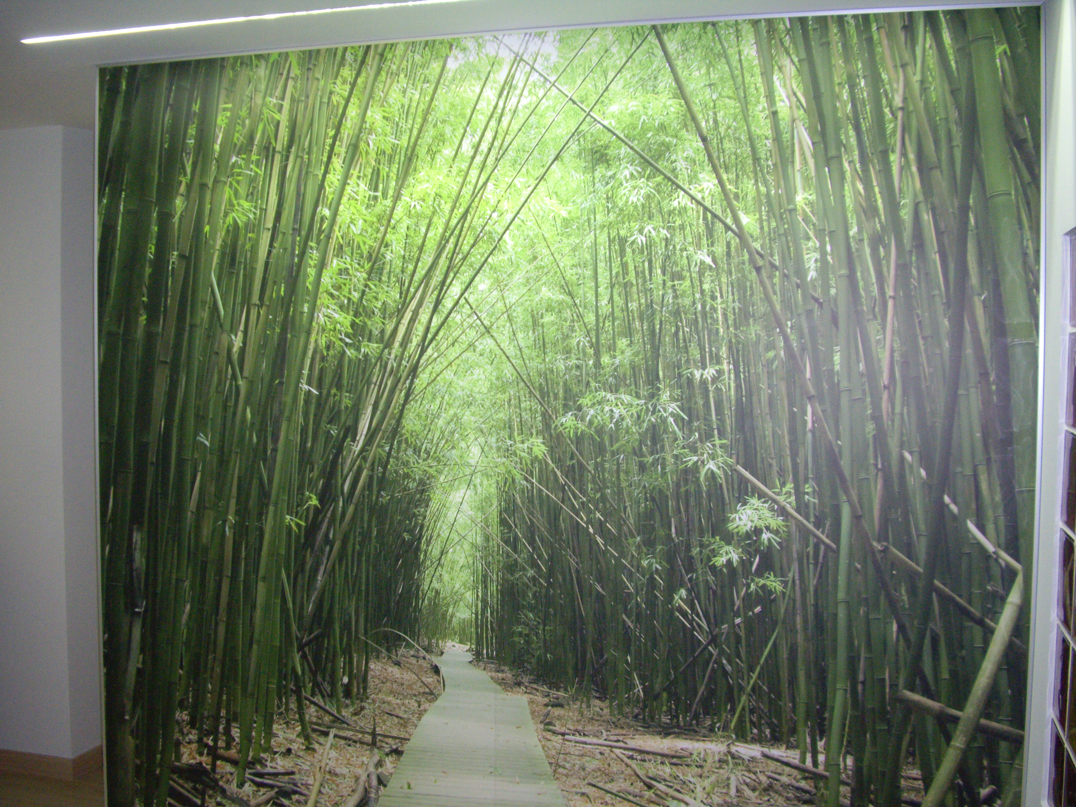 Galería de imágenes