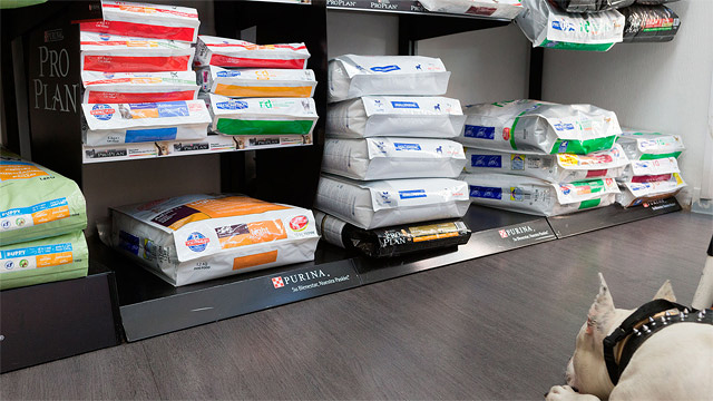 Santa Elena Cl&iacute;nica Veterinaria Zamora