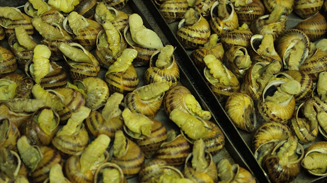 Restaurant Ermita de Brugu&eacute;s 5