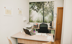 Galería de imágenes