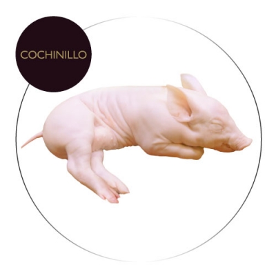 Colear Castilla Le&oacute;n S. Coop. CARNE: MAYORISTAS