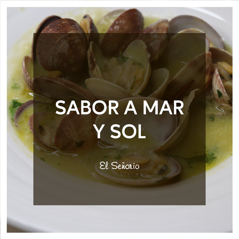 Restaurante El Se&ntilde;or&iacute;o 12