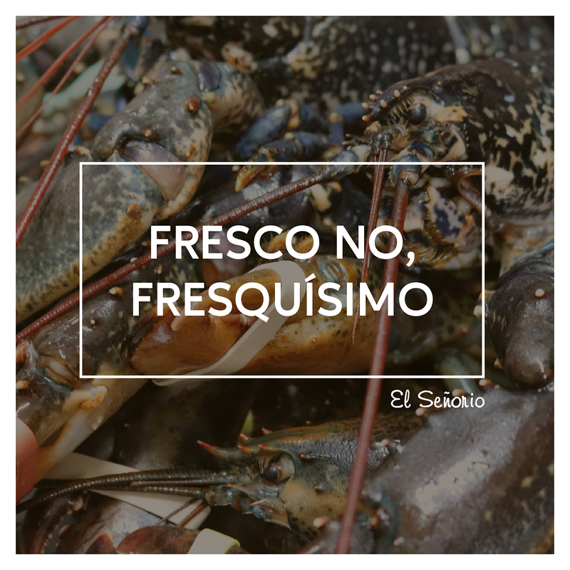 Restaurante El Se&ntilde;or&iacute;o 3