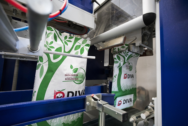 Diva Pentsuak S.L. 2