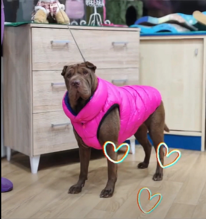 Cl&iacute;nica Veterinaria WECAN Aimar 14