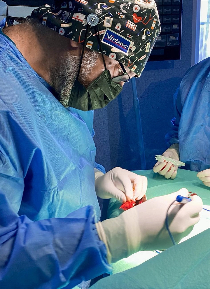 Cl&iacute;nica Veterinaria WECAN Aimar 16