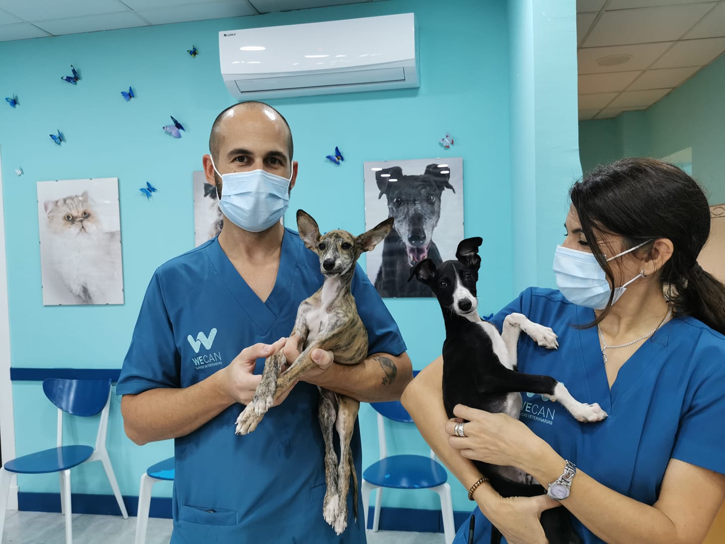 Cl&iacute;nica Veterinaria WECAN Aimar 4