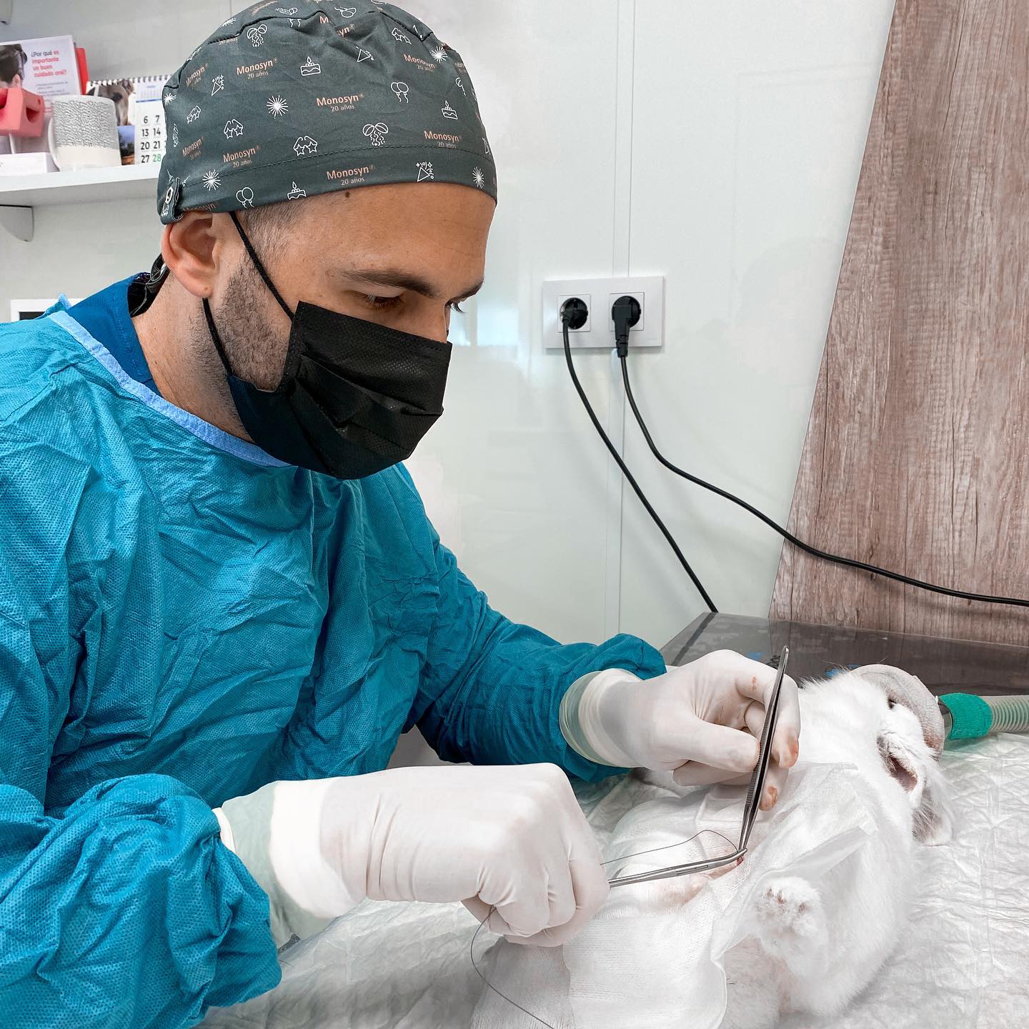 Cl&iacute;nica Veterinaria WECAN Aimar 6