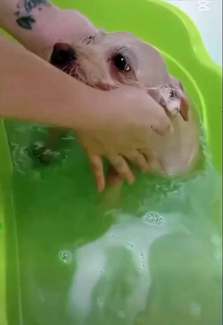 Cl&iacute;nica Veterinaria WECAN Aimar 15