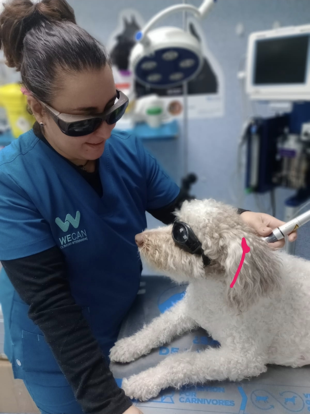 Cl&iacute;nica Veterinaria WECAN Aimar 11