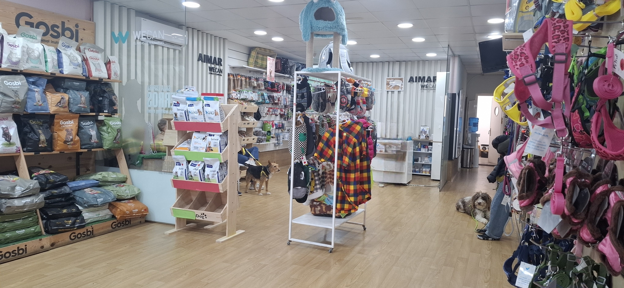 Galería de imágenes