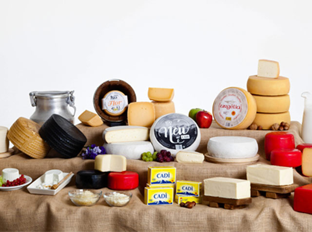 Cad&iacute; Barcelona