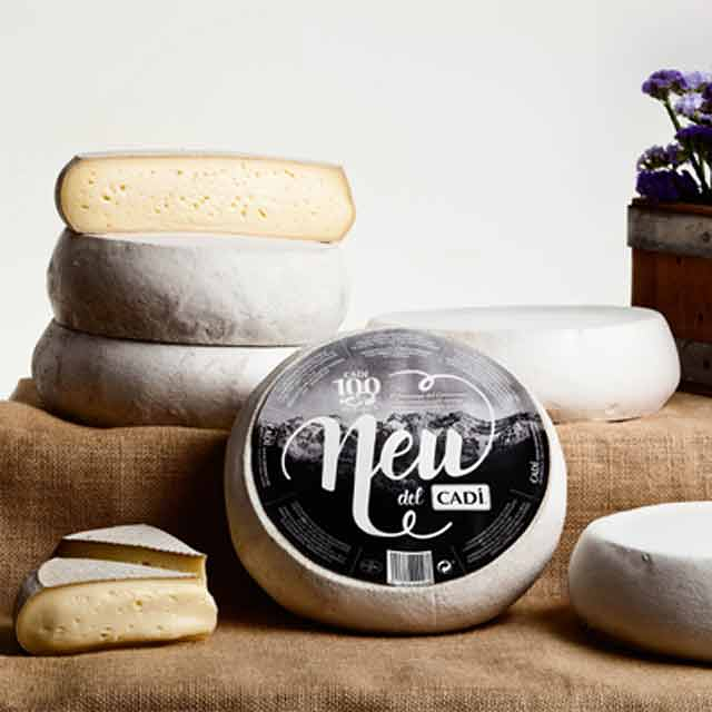 Cad&iacute; QUESOS: FABRICANTES Y MAYORISTAS