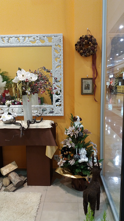 Galería de imágenes